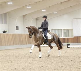 HESSELHOEJ.DK AUKTION