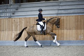 LÆRKENBORGS MISS JOY