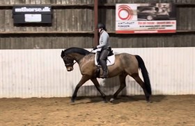 HEDEMAND'S GAI DANCER