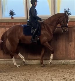 FELDBÆKS COLLECTION