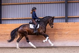 SARAFINA AF SKOVLYKKEGÅRD