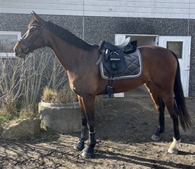 LUNDEMARKEGAARDS LUCKY STRIKE