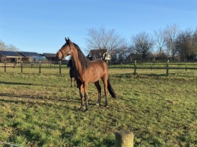 LANGESKOVS MY CAPELLA