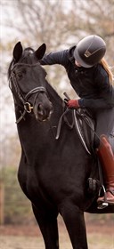 MAJLUND DRESSAGE
