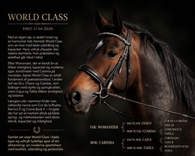 WORLD CLASS