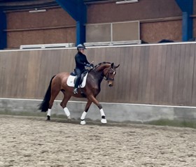 FAIRLY CONVINCING PS