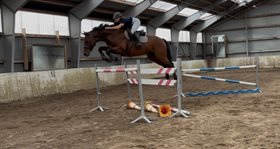 DIJON VD HUNTERS Z