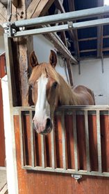 KEEPERS BITSCH AMAZON