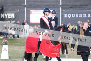 181894_mtp_05_R62_5759.JPG