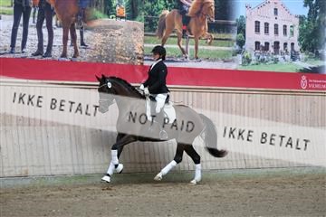 181887_mtp_01_R62_6627.JPG