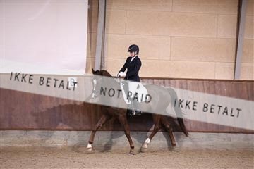 173821_mtp_01_3M5A9670.JPG