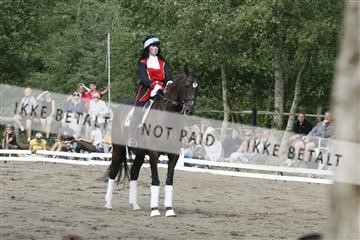 5925_gn_02__MG_7985.JPG