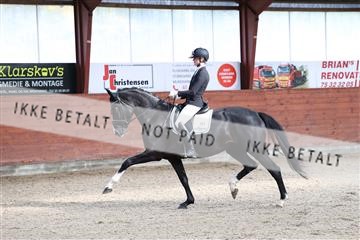 175442_kbb_01_R6II0144.JPG