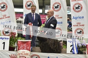 163793_bkn_01__BKN7069.JPG