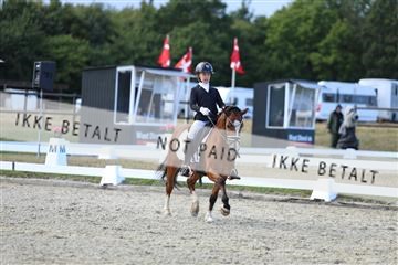 181894_mtp_05_R62_5304.JPG