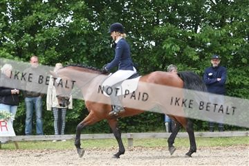 135518_ms_01_IMG_1548.JPG