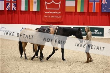 178838_mtp_04_0E6A4470.JPG