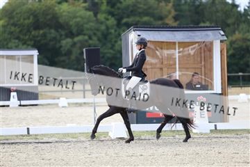 181894_mtp_01_R62_0454.JPG