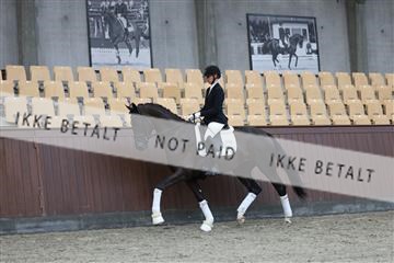181852_mtp_03_R62_2332.JPG