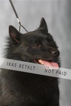 129608_le_ 01_0667.JPG