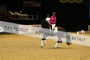 173966_jbr_02_JBR_2507.JPG