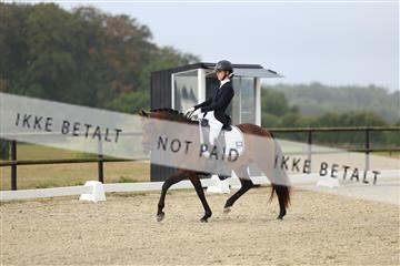 181894_mtp_04_R62_3590.JPG