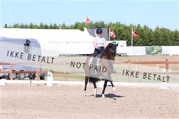 181449_bc_01R62_5986.JPG
