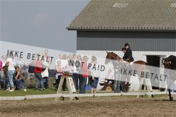 130918_sc_01_IMG_0436.jpg