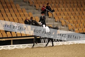 126407_abo_01_IMG_1350.JPG