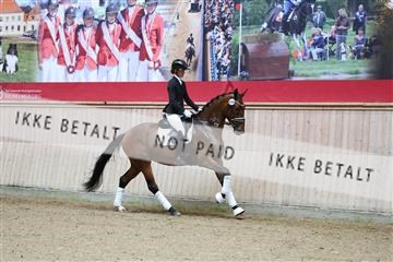 181887_mtp_04_R62_8328.JPG