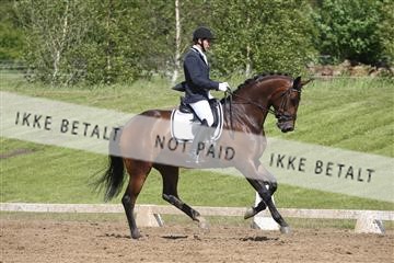 147698_nn_01_IMG_0030.JPG