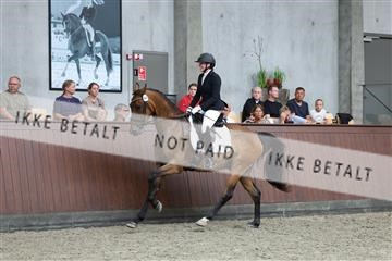 181852_mtp_05_R62_3436.JPG