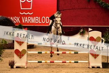 164311_rhj_05JB3_5299.JPG