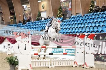175934_avh_01_5844.JPG