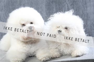 129608_le_ 01_0503.JPG