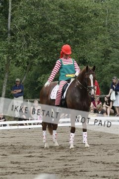 5925_gn_02__MG_7763.JPG