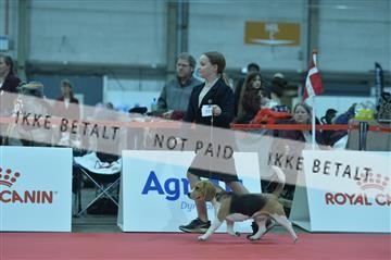 173842_bkn_01__D047659.JPG