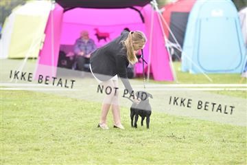 162688_bkn_01__BKN0073.JPG