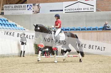 160111_nn_01__ESK1960.JPG