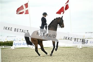 181449_kbb_03_Z091708.JPG