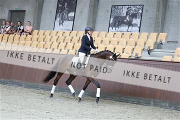 181852_mtp_03_R62_2412.JPG
