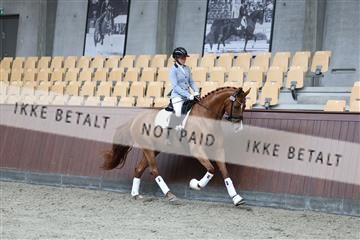 181852_mtp_02_R62_1713.JPG