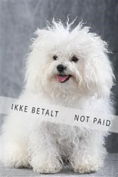 129608_le_ 01_0052.JPG