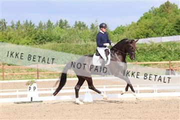 181449_bc_01R62_6603.JPG