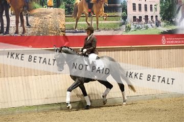 175676_avh_01_R62_4409.JPG