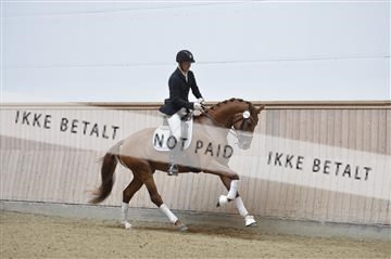 160111_nn_01__ESK1754.JPG