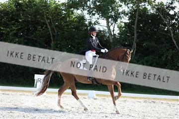 172073_mtp_01_3M5A4809.JPG