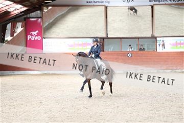 175442_kbb_01_R6II0005.JPG