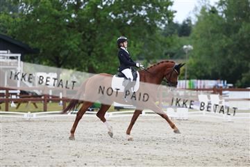 181923_mtp_01_R62_6436.JPG