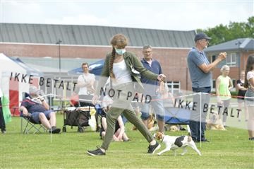 168981_bkn_01__MHR0325.JPG